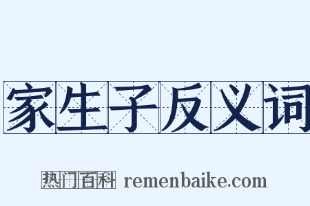 家生子反义词是什么意思的图片